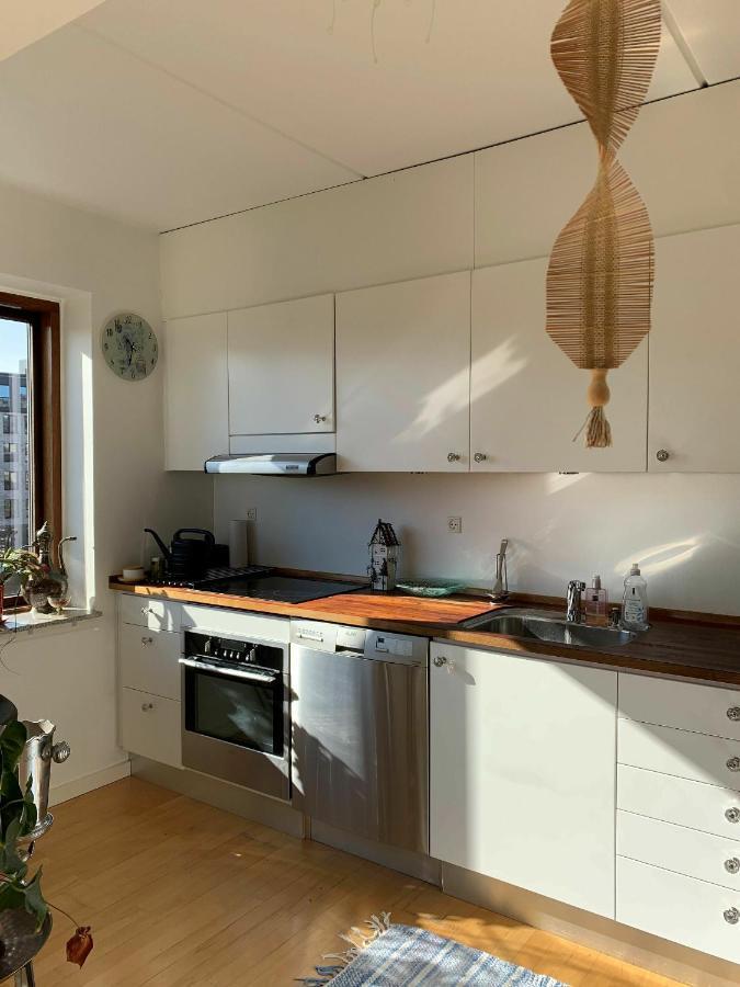 Apartmentincopenhagen Apartment 651 エクステリア 写真